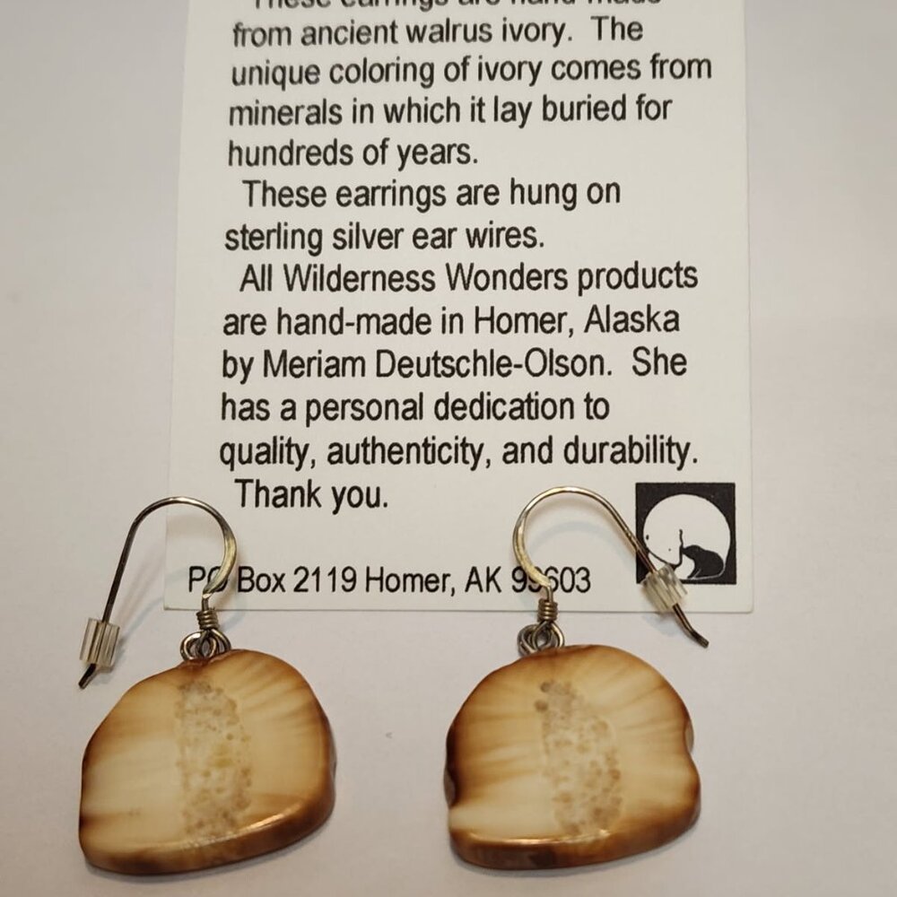 Ancient Walrus Ivory Earrings
